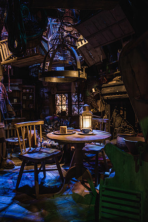Rubeus Hagrid's Home